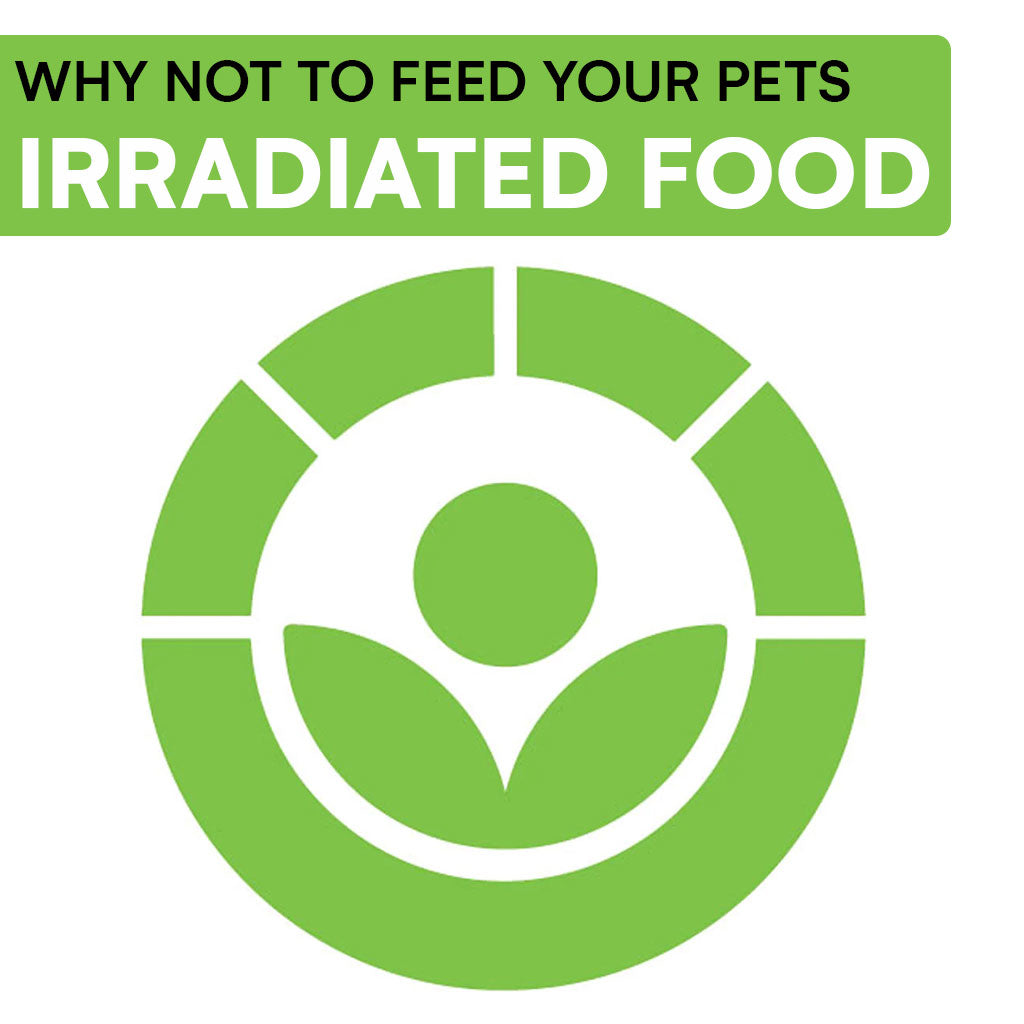 Irradiated Food Is it best for your pet RAW DOG CHEWS