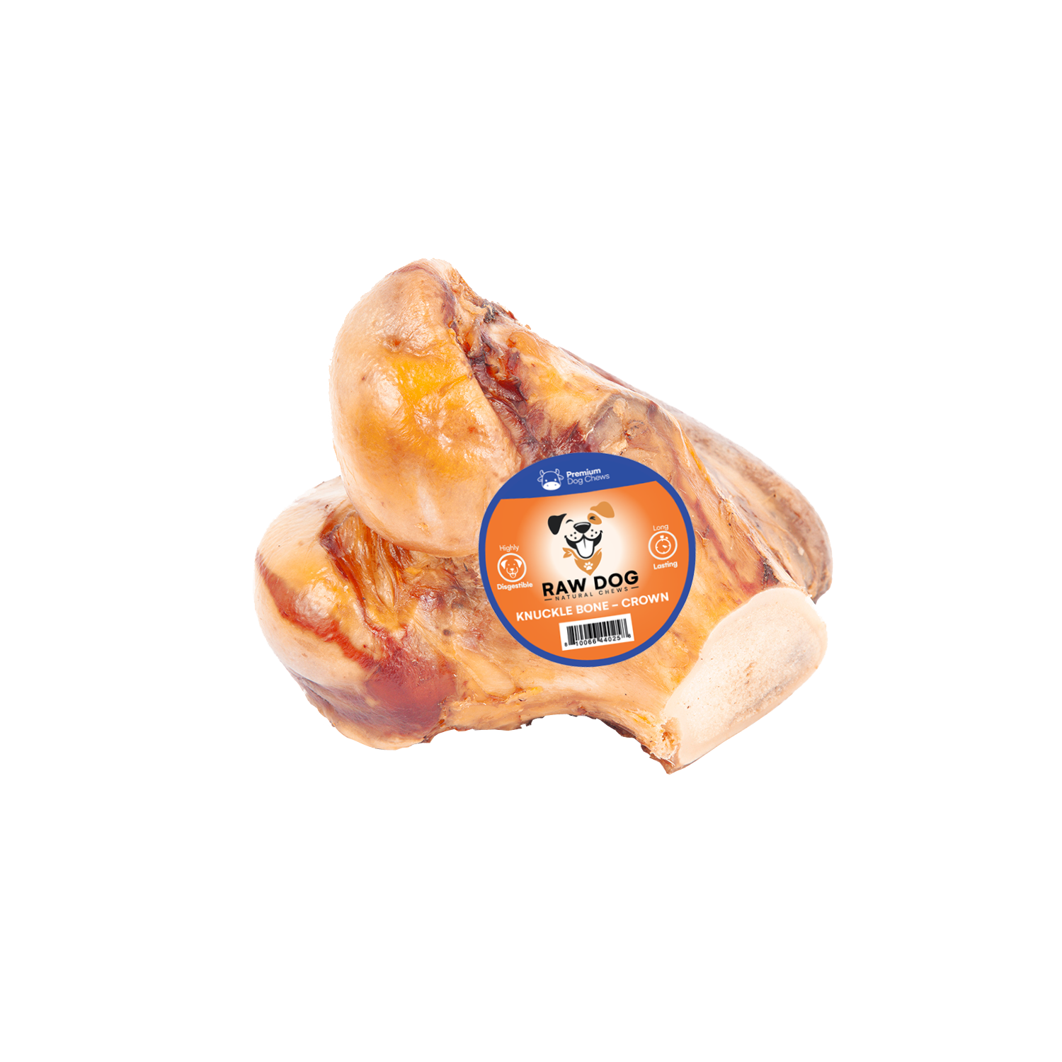 Raw Dog Beef Knuckle Bone