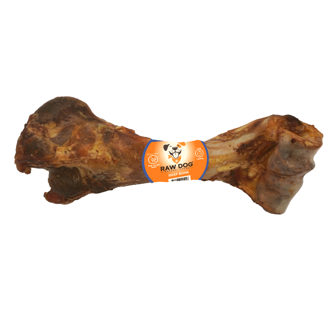 Beef bone hot sale good for dogs