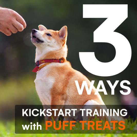 3 Ways Crispy Collagen Puffs Will Kickstart Your Dog Training