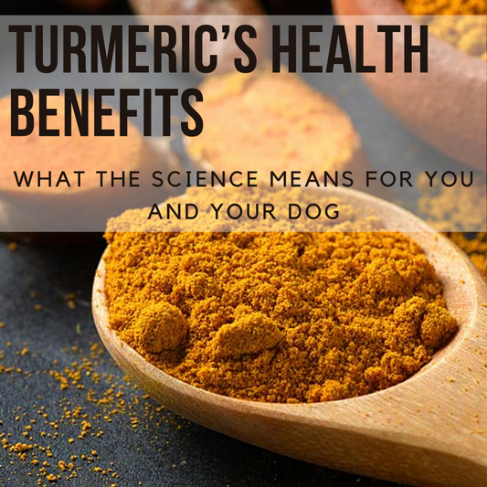 The Health Benefits of Turmeric for Your Dogs