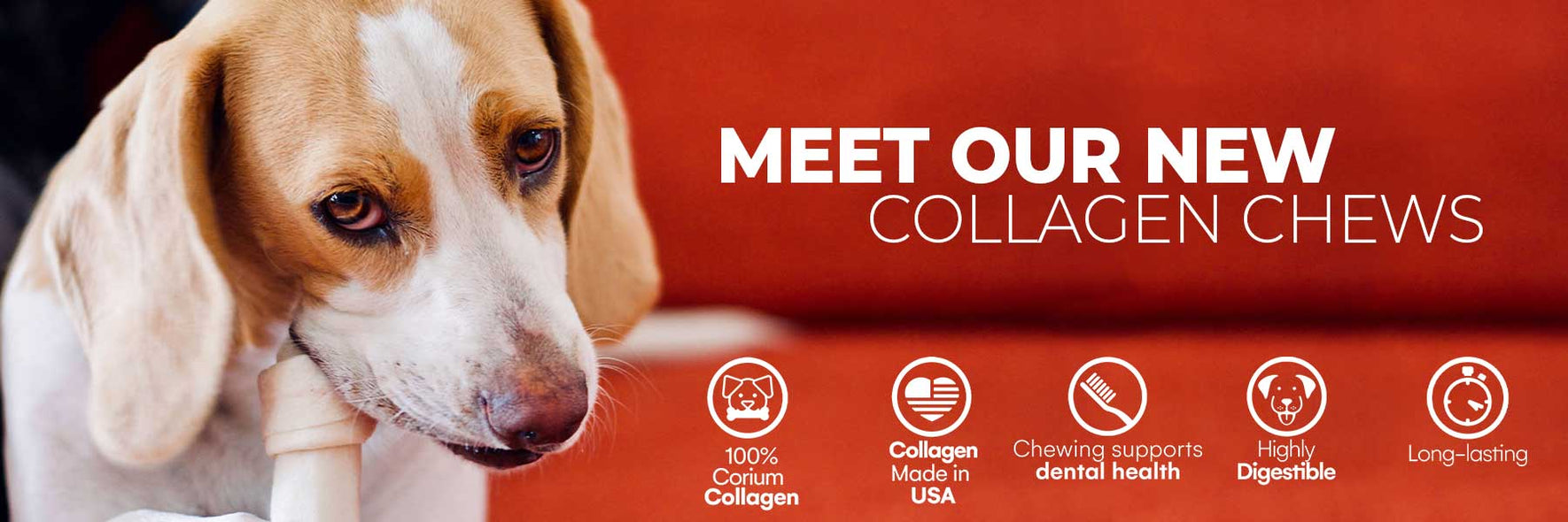 Corium 20 for dogs sales