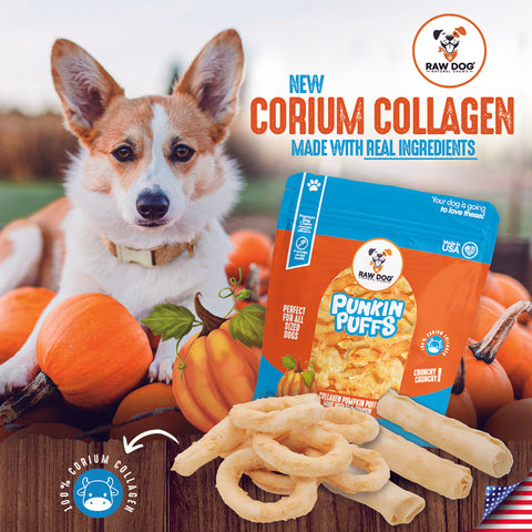 10″ Collagen Chew Sticks - Pumpkin Flavor