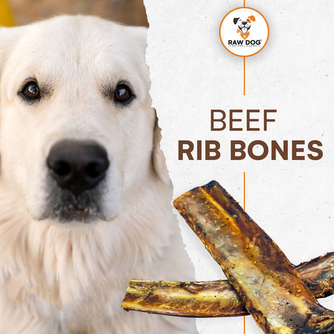 Beef Rib Bones Large (pack of 2)