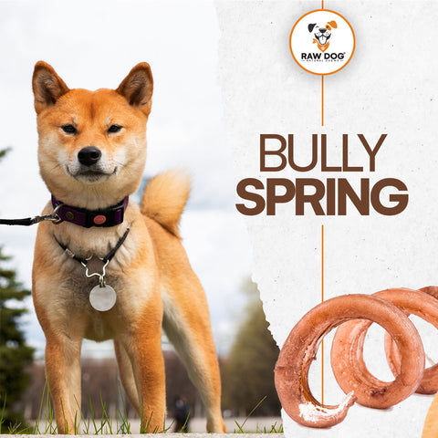 6″-8″ Bully Spring Chews